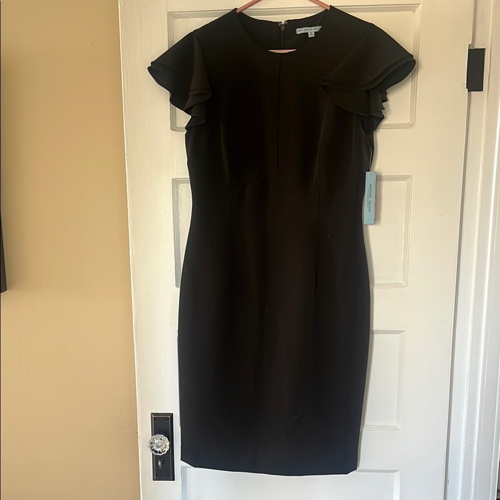 Elegant Black Ruffle Sleeve Dress
